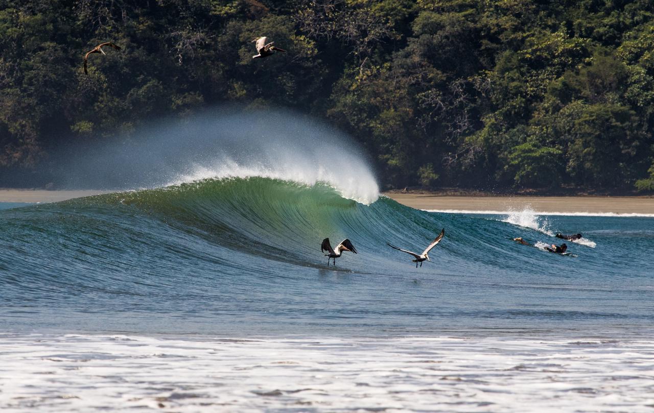 Beach Break Hotel & Surf Camp De Playa Venao Εξωτερικό φωτογραφία